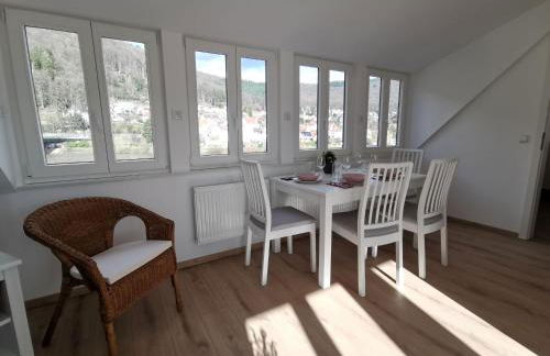 Ferienwohnungen Flussufer - Neckargemünd Altstadt - Foto 16