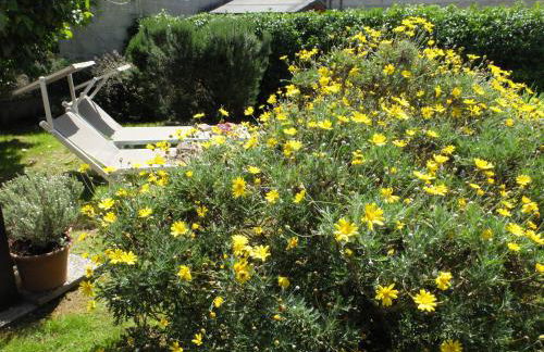 Appartamento con giardino a 5 minuti dal mare - Foto 22