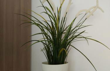 HAUSBURG studio. City view - Foto 6