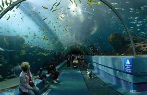 Casa Lindíssima e Espaçosa com 2 Piscinas - Adulto e Infantil, Perto da Praia, Opção da Piscina Adulto Aquecida Cobrado à Parte, 4 Quartos Frente as Piscinas, Área Gourmet Completa com Churrasqueira, Forno e Fogão a Lenha, Mesa de Bilhar, Lareira na Sala - Photo 54