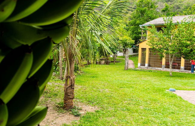 Casa de campo Los Yungas - Photo 30