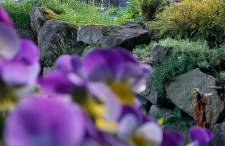 Apartamenty w Dolinie Gościna - Foto 49