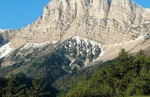 Le Veymont - Foto 19