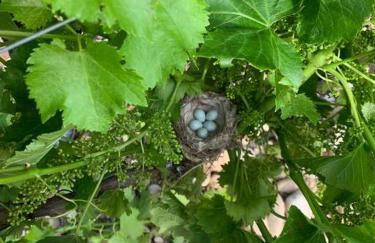 Studio décoré avec goût - Foto 8