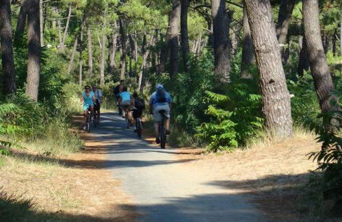 Mobil Home Moderne de 40m2 TOUT CONFORT Camping SIBLU Les CHARMETTES 785 La Palmyre Les Mathes - Foto 42