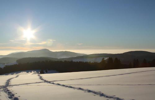 Ferienwohnung Bergahorn - Photo 10