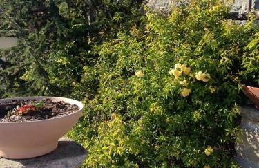 Mini Appartamenti Nonna Nella - Foto 16