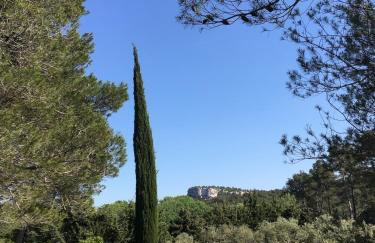 Cabane de la leque - Foto 28