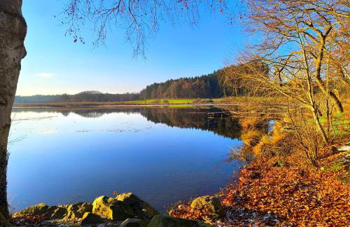 Tiny House 2 im Allgäu mit gr. Garten, Randlage - Foto 23