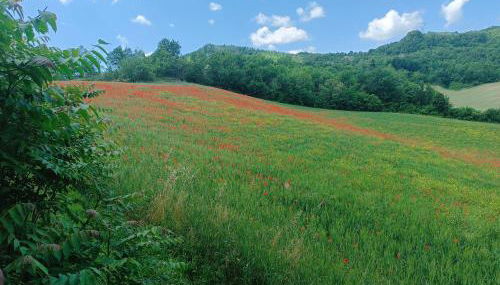 Monte Bibele - Foto 3