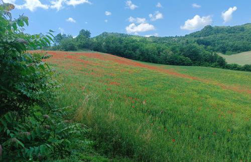 Monte Bibele - Foto 3