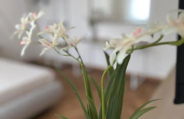 Villa Diana - Foto 15