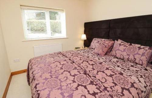 Bryn Derw Holiday Cottage - Foto 19