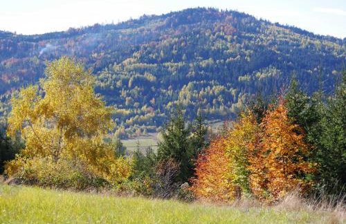 Apartamenty przy Hotelu Żywieckim - Foto 30