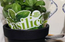 Casa del Mare - Foto 17