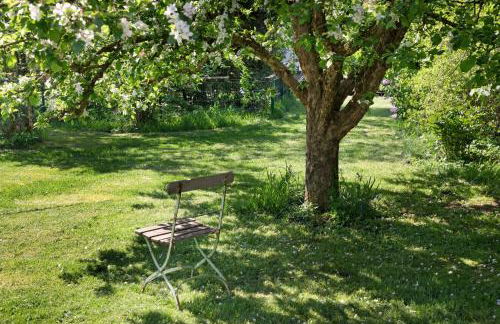 Ferienwohnungen große Albferien - Foto 8