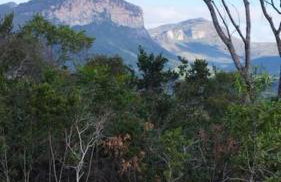 Casa Beija-flor no Vale do Capão - Foto 18