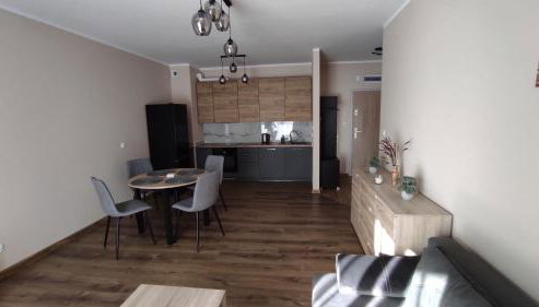 Grand Apartament nad Iławką - Foto 3