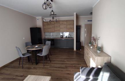 Grand Apartament nad Iławką - Foto 3