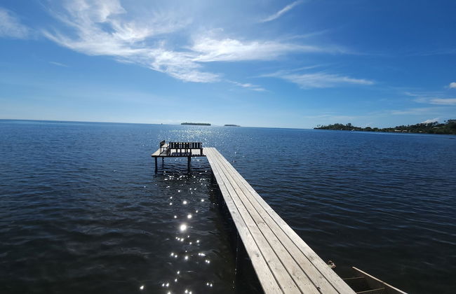 Apetahi - Bord de lagon - Photo 15