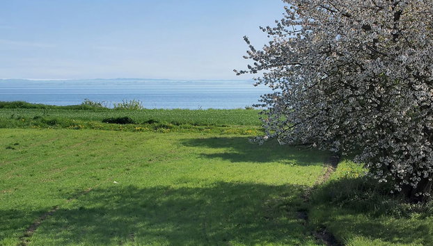 "Ady" - 150m from the sea - Foto 2, View