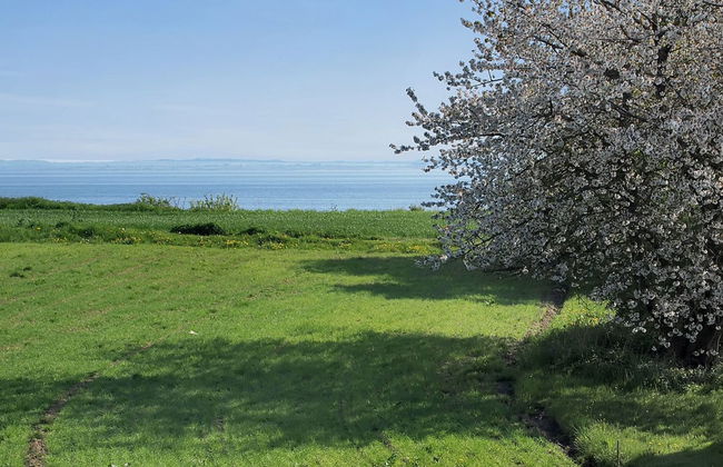 "Ady" - 150m from the sea - Foto 1