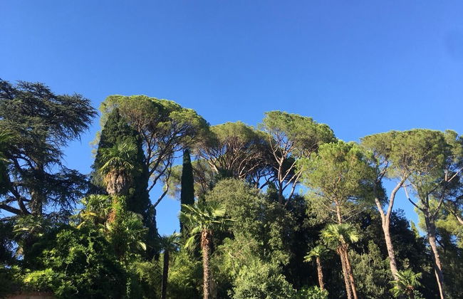 Apartment 2 People Farmhouse Villa Luzi - Foto 7