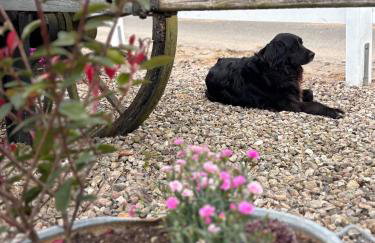 Gut Bennewohld - Foto 21