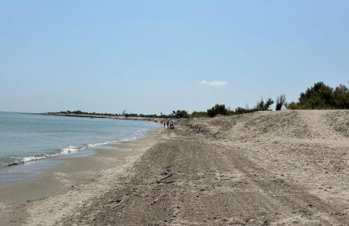 Il nido di Spina - Foto 15