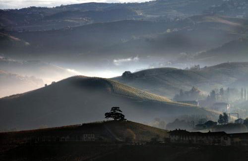Villa con piscina e intera struttura a uso esclusivo casa del moré - Photo 50