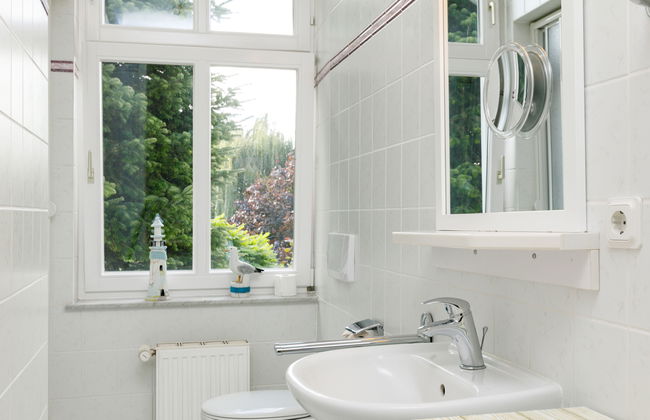 Sonnenblume - Foto 17