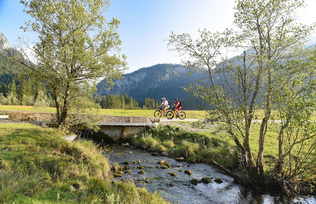 Zaißlhäusl Hof Ferienwohnungen - Photo 19