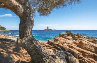 studio entièrement rénové a 2 min de la mer - Foto 13