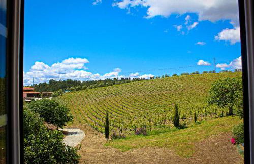 Casa de Cotas - Foto 55