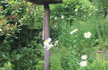 Feriendomizil Mikesh - Foto 30