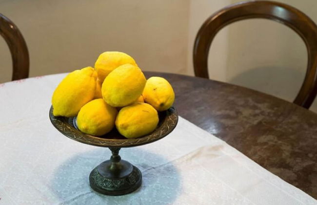 House in Tuscany With Pool & Olive Grove Views - Foto 14