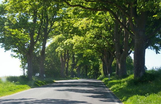 Cosy Apartment in Garz - Foto 12
