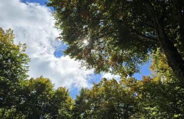 Casa - La Faggeta - Foto 20