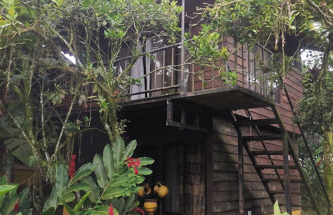 Las Cabanas - Foto 2