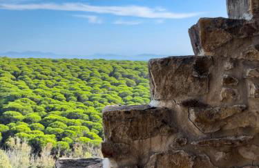 Stone House - Foto 7