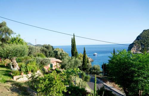 Teo & Niki - Foto 20