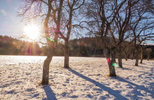 Alb-Suite Family Friendly Premium 2BR Apartment - Photo 26