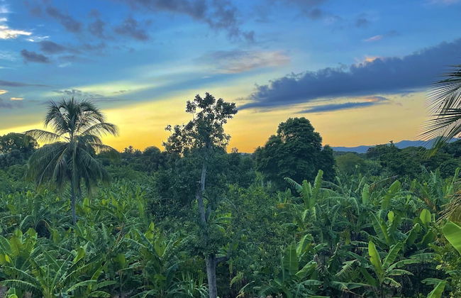 Complejo Ecoturistico Rancho Cielo - Foto 15