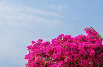 Iliana's house - spacious cave house in the center of Areopolis - Foto 39