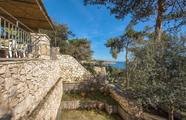 Pajara Acquaviva - Foto 19