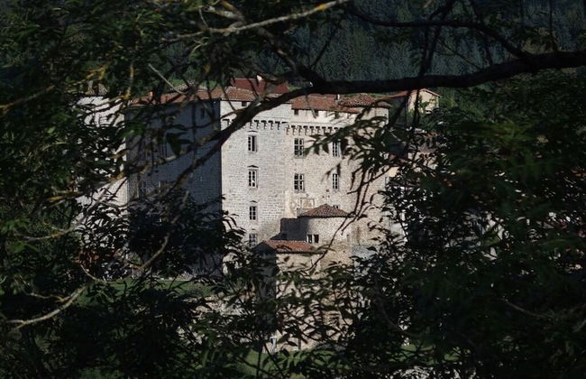Château des Marcilly Talaru - Foto 54