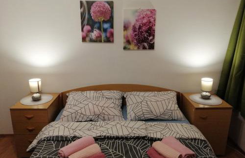 APARTMAN NENA - Foto 11