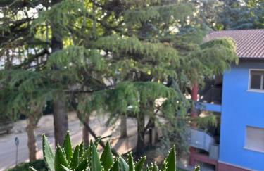 Appartamento Nuvola Bianca 2 - Foto 23