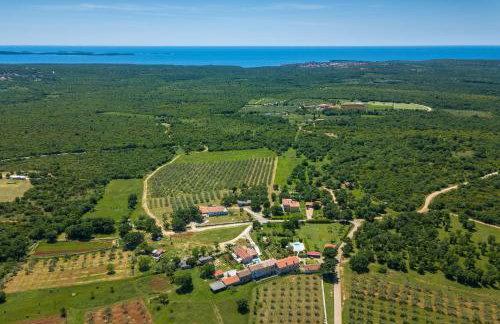 Villa Paulina -an authentic sense of Istrian life - Photo 77