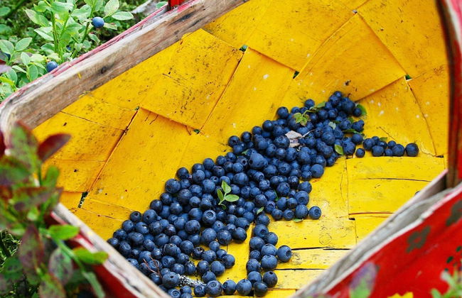 6 Person Holiday Home in Salen - Foto 12